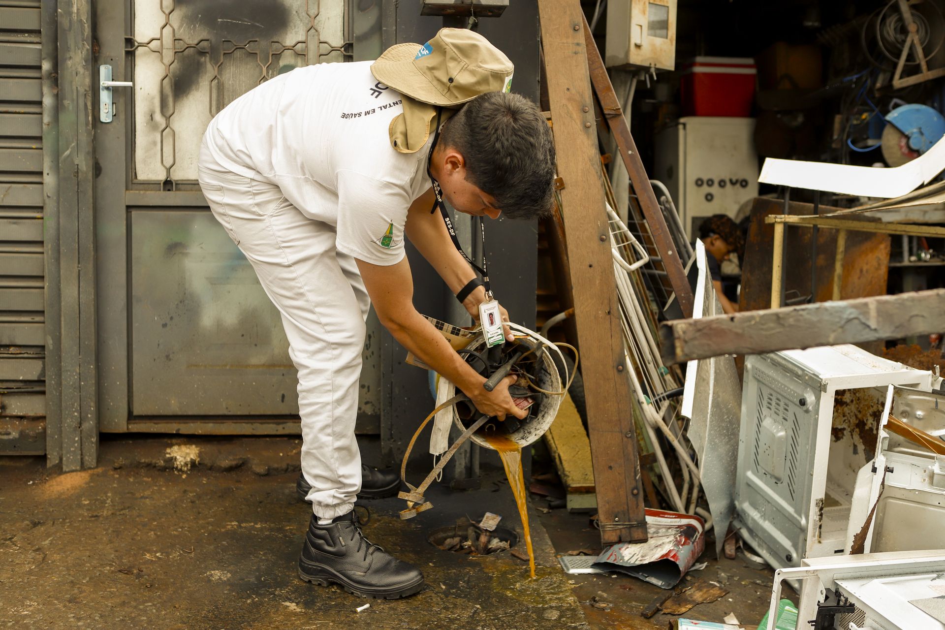 Dengue e chikungunya: saiba diferenciar os sintomas