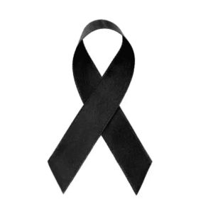 Em nota de pesar, Daniel Vilela lamenta mortes de estudantes na GO-518