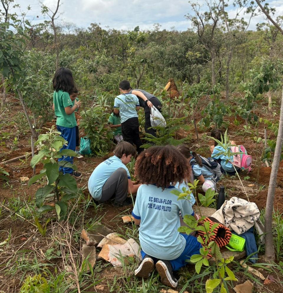 Escolas públicas do Distrito Federal formam guardiões do meio ambiente
