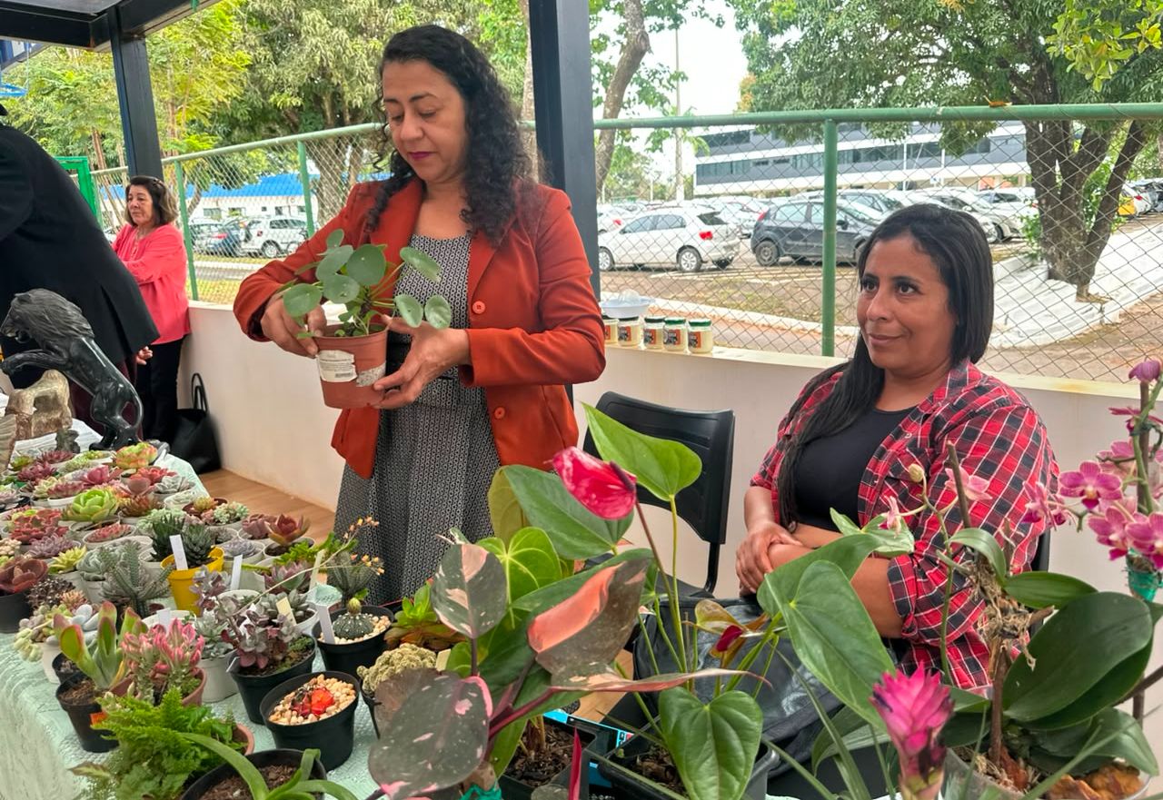 Feira Junina dos Consegs Rurais valoriza agricultura familiar