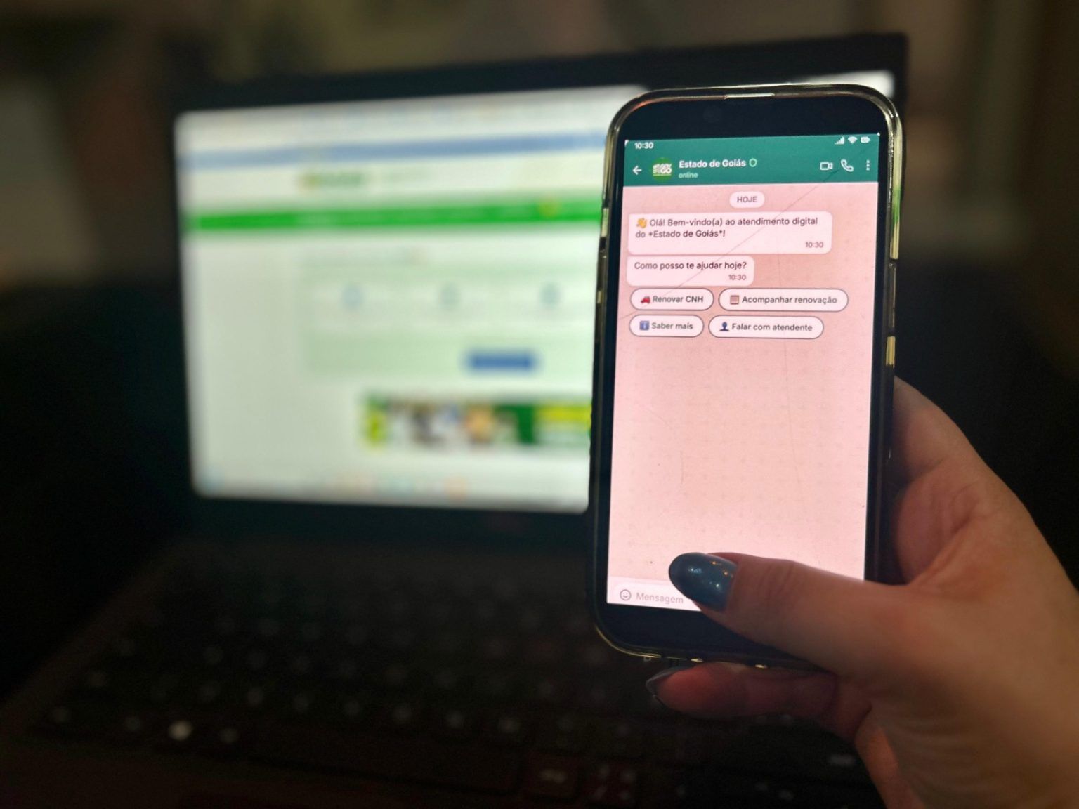 Goianos poderão acessar serviços públicos pelo WhatsApp