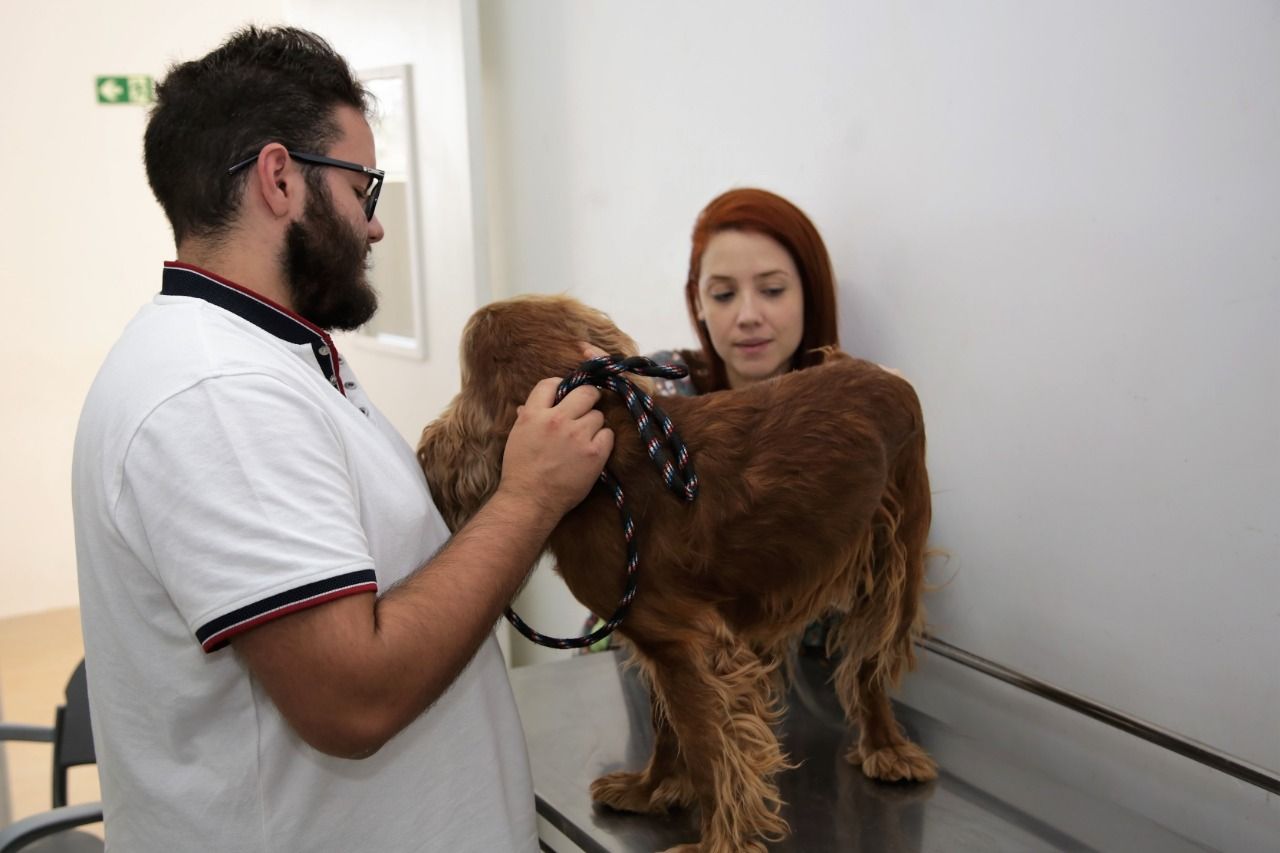 Hvep móvel leva atendimento veterinário gratuito ao Varjão