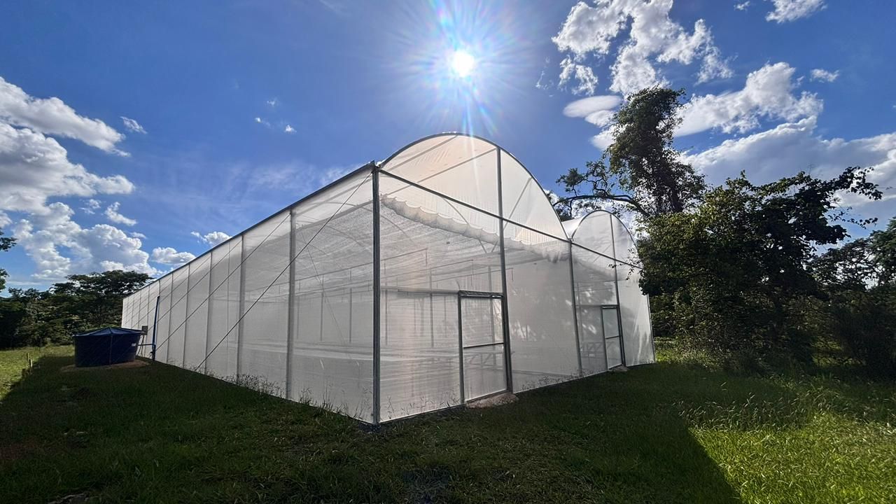 Jardim Botânico de Brasília amplia estrutura para pesquisa, educação ambiental e visitação