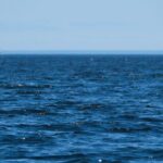 MCTI lança oficinas para atualizar plano nacional da Década do Oceano