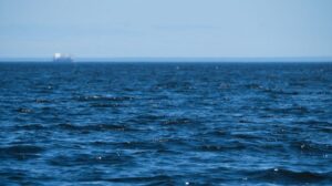MCTI lança oficinas para atualizar plano nacional da Década do Oceano