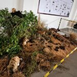 Mostra no Museu Ferroviário de Pires do Rio incentiva conscientização ambiental