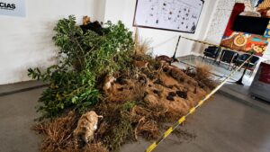 Mostra no Museu Ferroviário de Pires do Rio incentiva conscientização ambiental