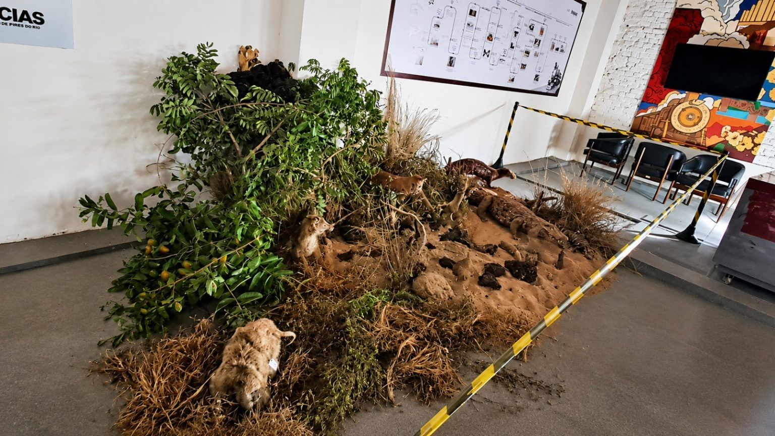 Mostra no Museu Ferroviário de Pires do Rio incentiva conscientização ambiental