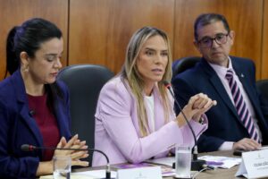 Pesquisa inédita investiga o que leva homens a matarem mulheres no DF
