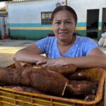 Programa de Aquisição de Alimentos tem prazo ampliado em Goiás