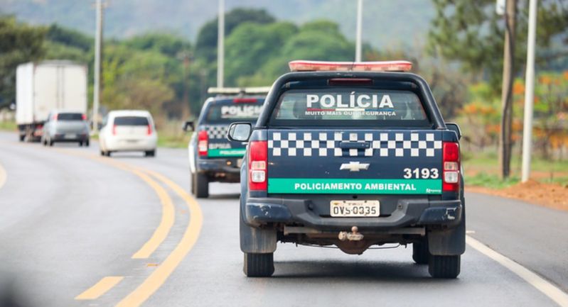 Programação especial celebra Semana do Meio Ambiente 2026
