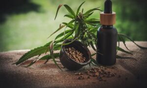Projeto apoia mães e crianças atípicas tratadas à base de cannabis
