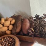 Projeto foca potencial econômico dos produtos do Cerrado e aponta caminhos para a restauração produtiva