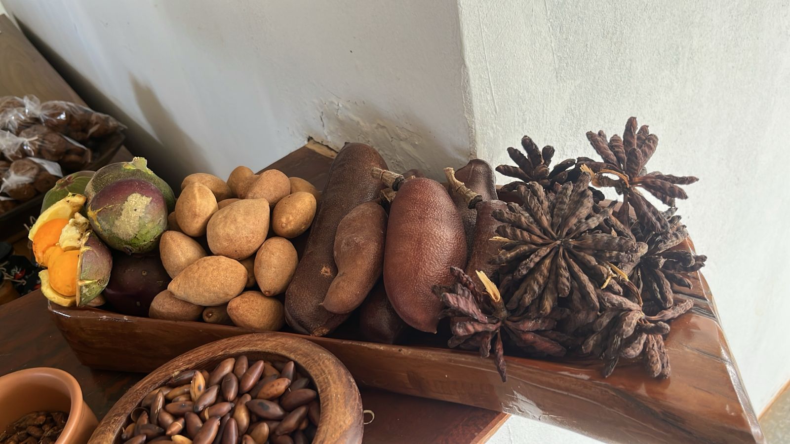 Projeto foca potencial econômico dos produtos do Cerrado e aponta caminhos para a restauração produtiva