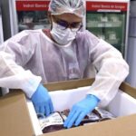 Rede Hemo mobiliza mais de mil bolsas de sangue para socorrer outros estados