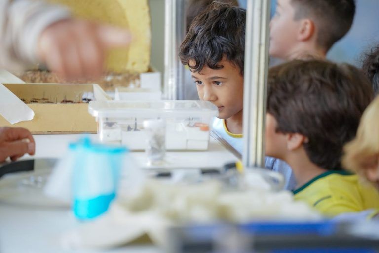SES leva educação em saúde ao Fica 2026