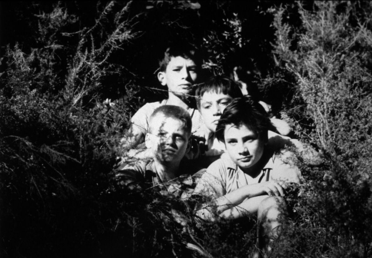 Sessão Clássicos, no Cine Brasília, destaca François Truffaut