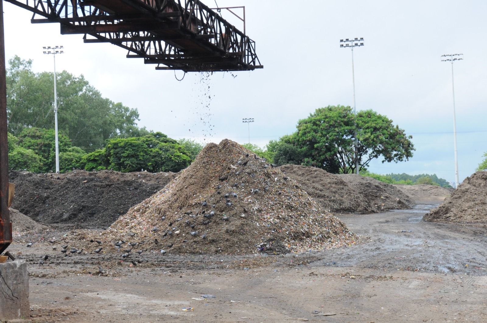 Unidades do SLU já recuperaram 4,2 mil toneladas de recicláveis em 2026