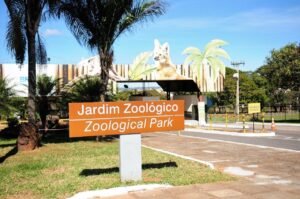 Zoológico de Brasília lança especial Missão Zoo