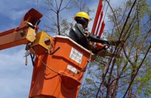 Área do Jardim Botânico terá o fornecimento de energia interrompido nesta quarta-feira (29)