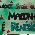 Assembleia do Ceará sedia simpósio sobre cannabis medicinal