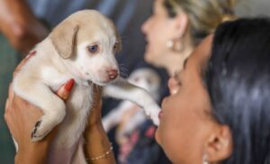 Campanha de castração de cães e gatos gratuita oferece 1.800 vagas na próxima semana