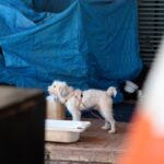 Ceilândia e Plano Piloto recebem ação de acolhimento à população em situação de rua nesta quinta (9)
