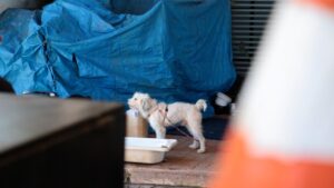Ceilândia e Plano Piloto recebem ação de acolhimento à população em situação de rua nesta quinta (9)