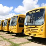 Confira quem tem direito e como solicitar o transporte escolar