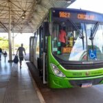 Entenda como funciona a gratuidade no transporte público aos domingos e feriados