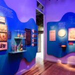Exposição O Tempo das Plantas propõe troca cultural e desaceleração