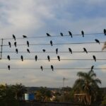 Fotografia feita há 17 anos inspira campanha vencedora do Leão de Ouro
