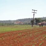 Ocupa uma área rural no DF? Saiba como solicitar a regularização fundiária