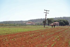 Ocupa uma área rural no DF? Saiba como solicitar a regularização fundiária