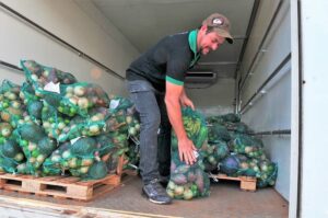 Veja as regras para receber a Cesta Verde no DF
