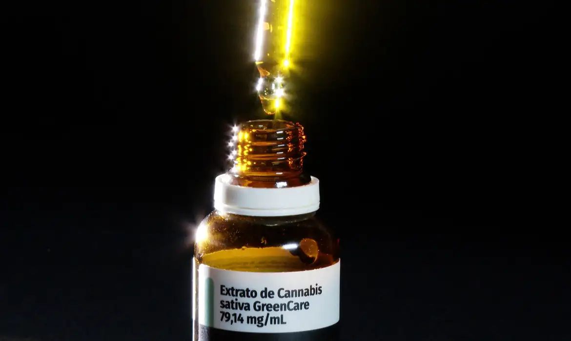 Autorizações para importação de cannabis aumentam 29% em 2026