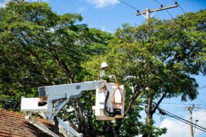Brazlândia terá fornecimento de energia interrompido neste sábado (8)