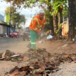 Comurg intensifica rastelação de folhas secas para prevenir incêndios e manter áreas públicas limpas durante a estiagem