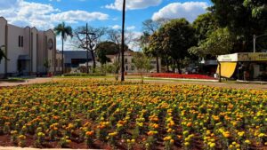 Comurg mapeia Goiânia para Projeto Florescer; veja quais pontos podem receber canteiros