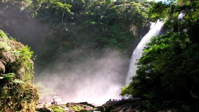 Disponibilidade de água tem maior influência na sobrevivência das plantas