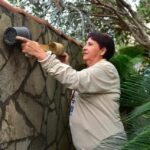 Força-tarefa combate chikungunya e alerta população para eliminar criadouros do Aedes em Goiânia