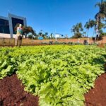 Programa da Prefeitura de Goiânia permite troca de materiais recicláveis por alimentos