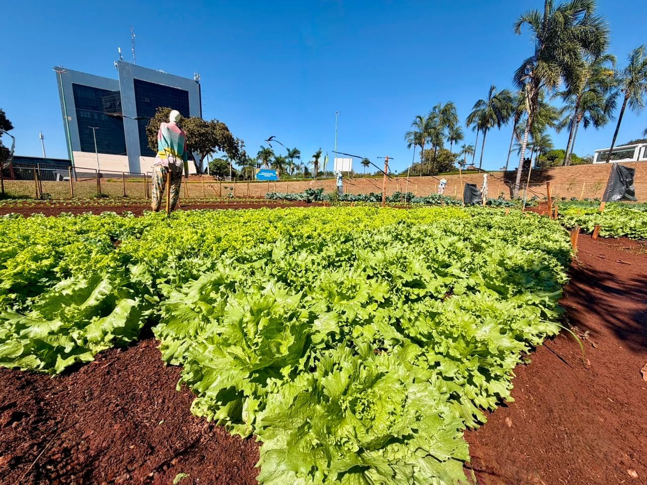 Programa da Prefeitura de Goiânia permite troca de materiais recicláveis por alimentos