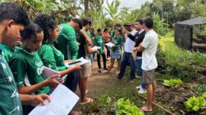 Capacitação em inteligência artificial reúne jovens de Pernambuco