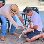 Goiânia realiza vacinação antirrábica em mais de 140 locais neste sábado (19/9)