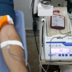 Novos critérios facilitam a doação de sangue no Distrito Federal
