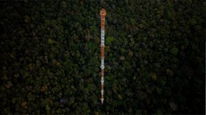 Observatório da Torre Alta da Amazônia monitora efeitos do El Niño na floresta primária