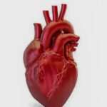 A cada 72 segundos, uma pessoa morre por doença cardiovascular no país