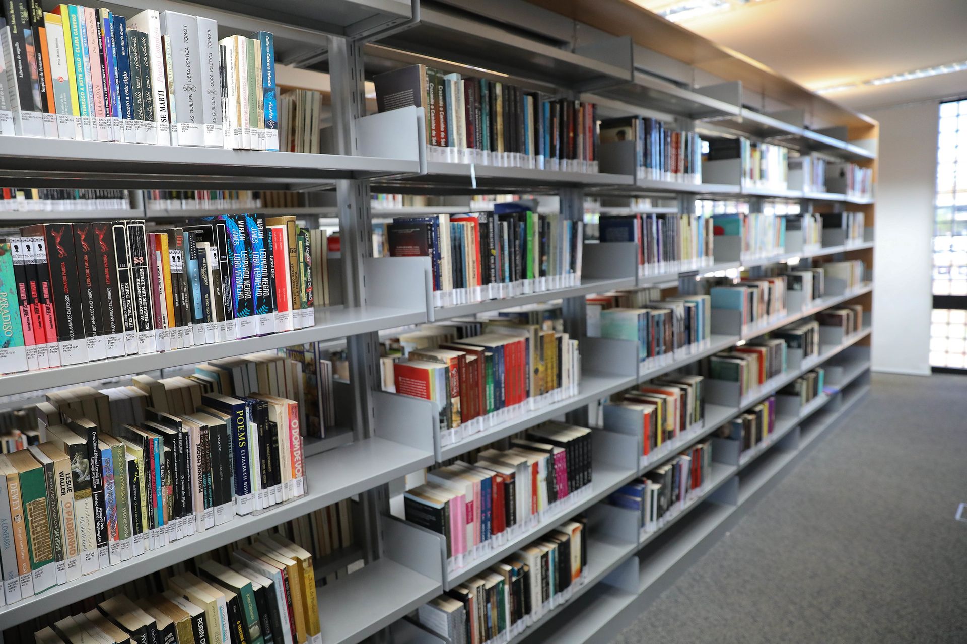 Campanha da Biblioteca Nacional para devolução de livros atrasados termina neste sábado (31)