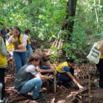 Com chegada das chuvas, Amma prepara solo e projeta plantio de 25 mil árvores em Goiânia